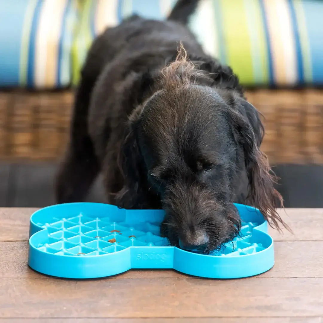 Slodog Turquoise 35cm