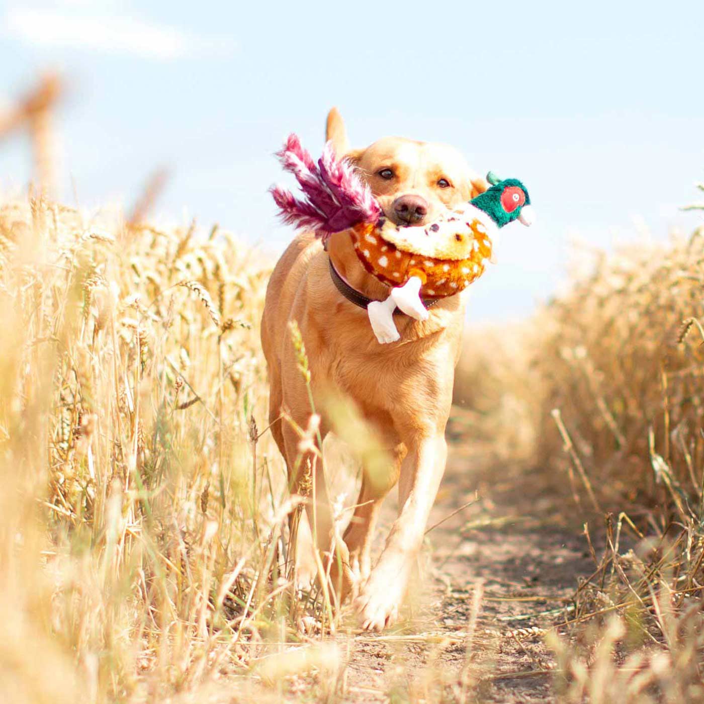 Animal Instincts Forest Friends Phileas Pheasant Small
