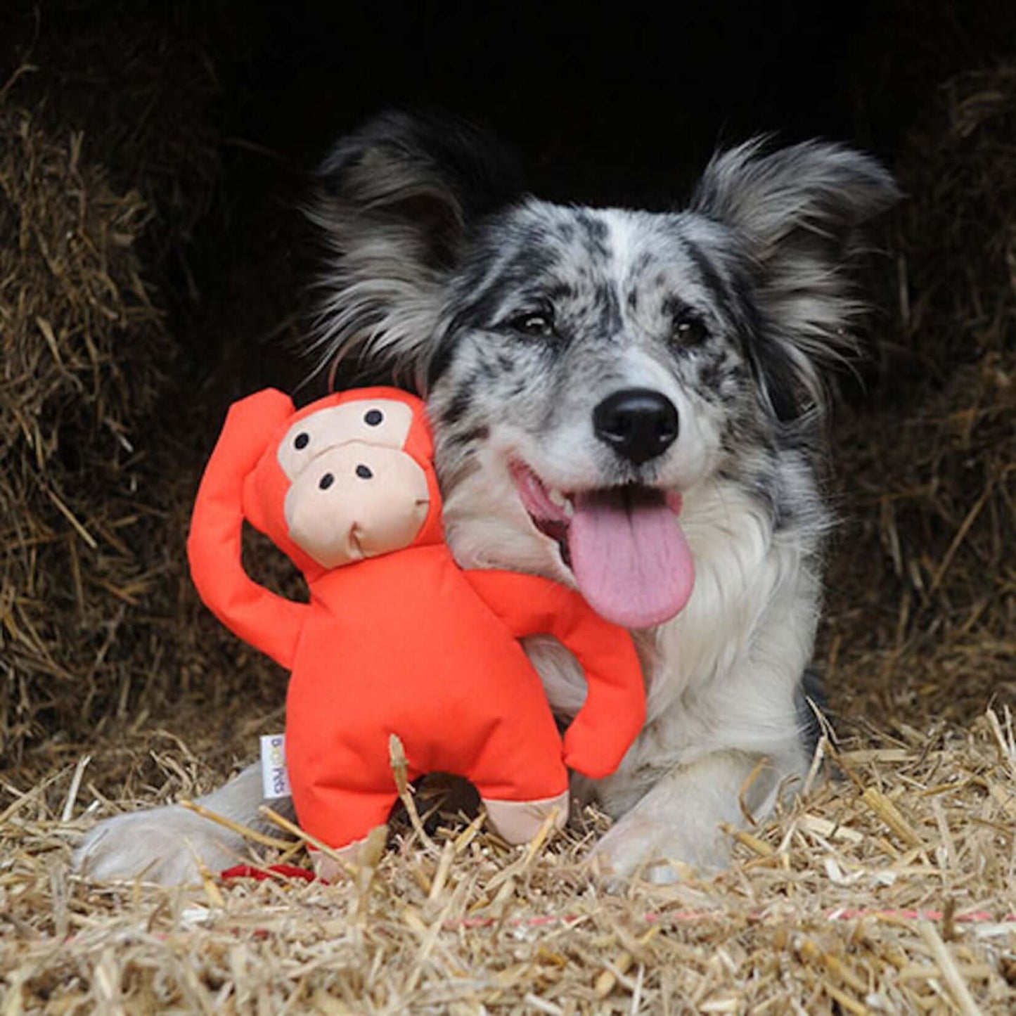 Beco Recycled Soft Toy - Michelle the Monkey (Medium)