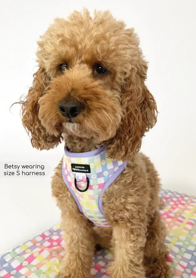Pawsome Paws Boutique Pastel Plaid Adjustable Harness (S)