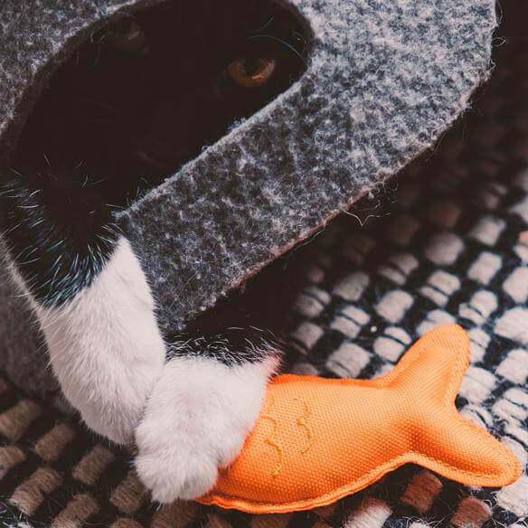 Beco Catnip Toy - Fish Orange - Cat Toy