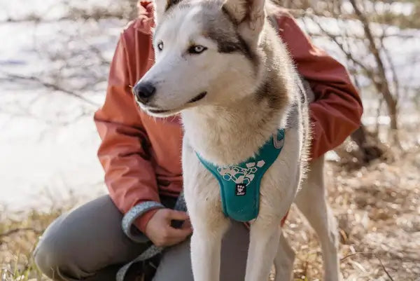 Hurtta Weekend Warrior Harness Ruby 80-100cm