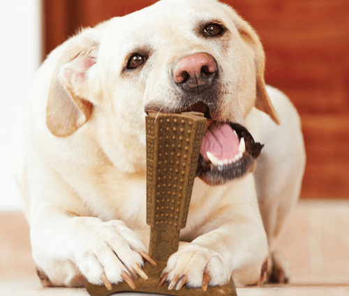 Bamboodles T-Bone Chew Toy - Large Beef