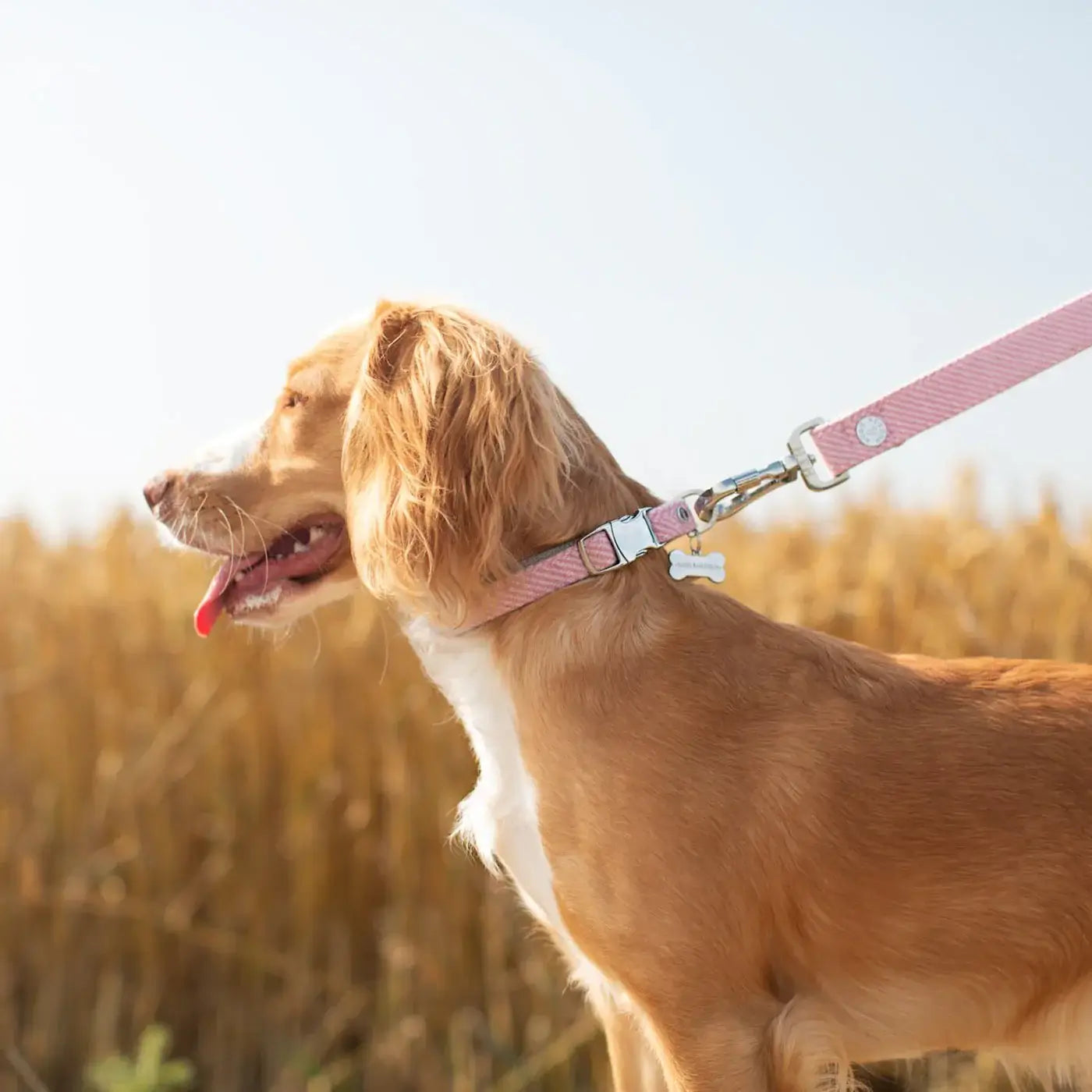 Hugo & Hudson Medium Pink Herringbone Dog Collar
