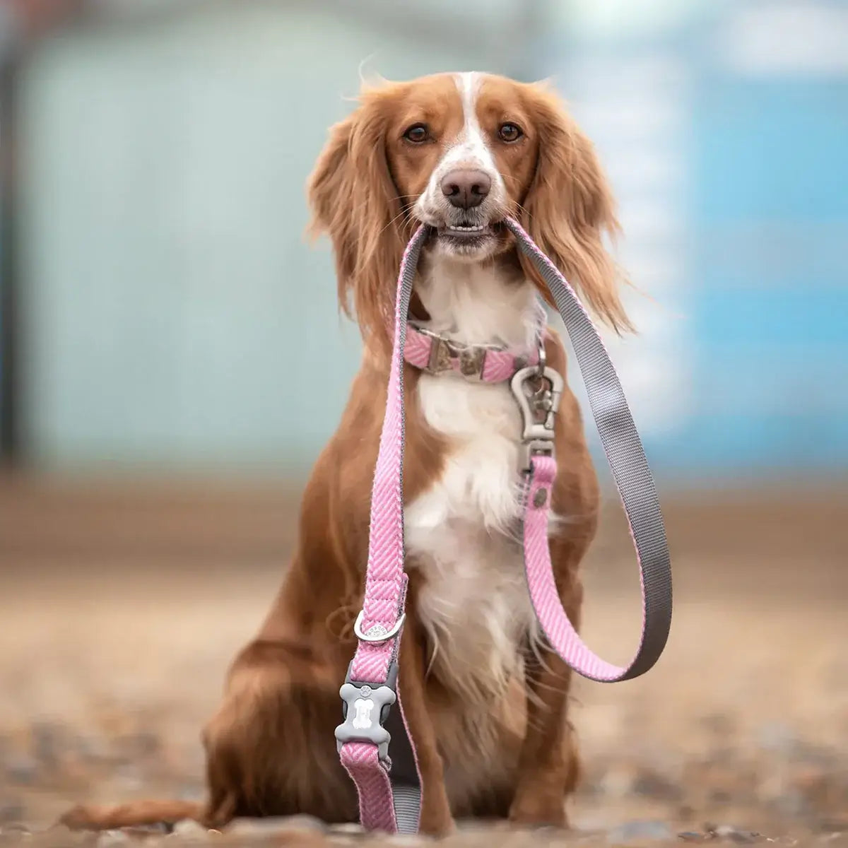 Hugo & Hudson M/L Pink Herringbone Dog Lead