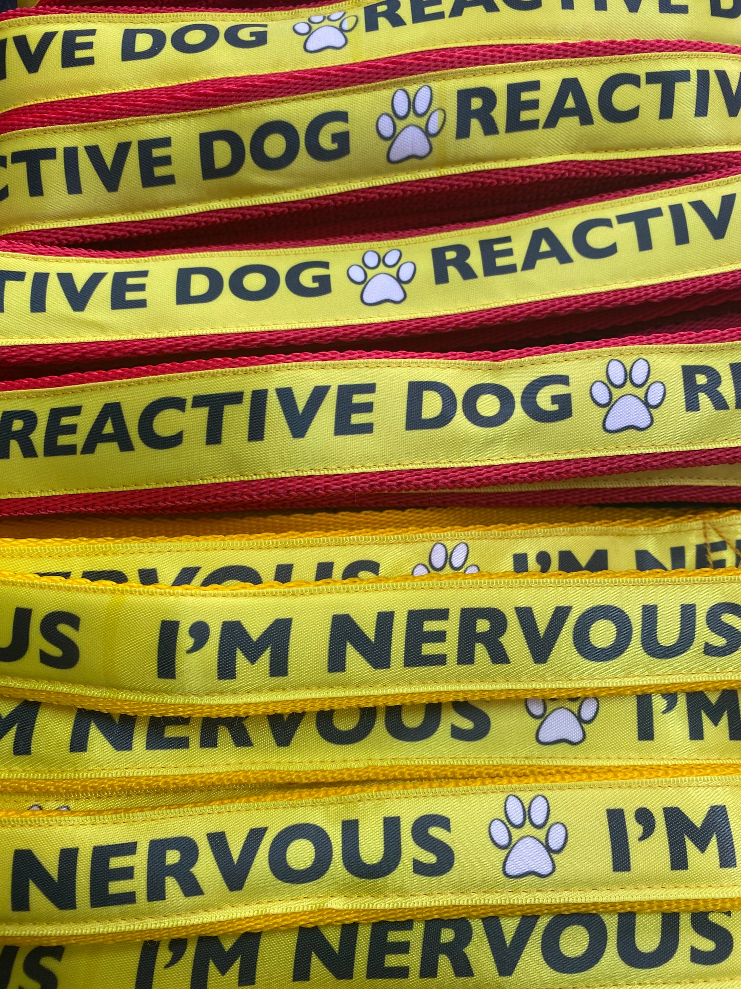 Reactive Dog Lead 1.2m