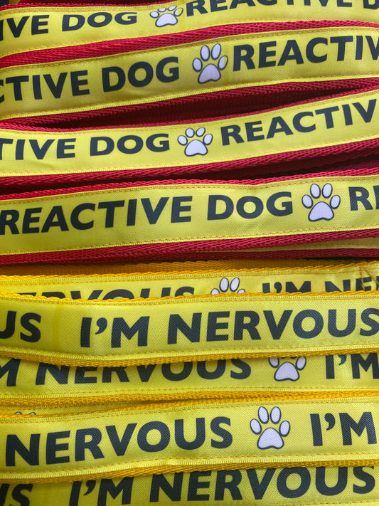 Reactive Dog Lead 1.2m
