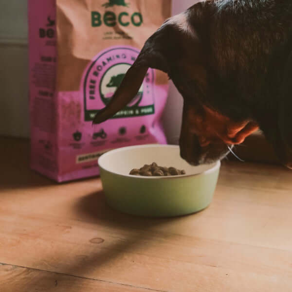 Beco Printed Bamboo Bowl - Small Fresh Mint