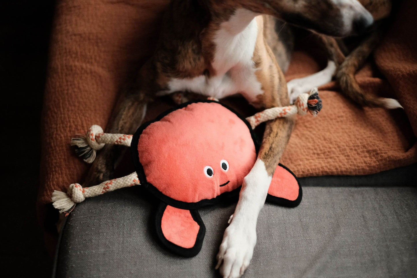 Beco Recycled Rough & Tough - Cora the Crab (Large)