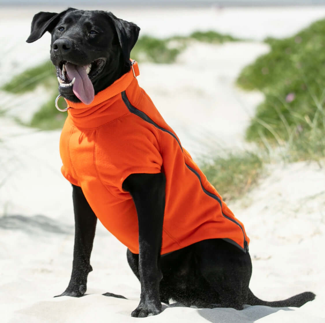 Hugo & Hudson Orange Fleece (M)