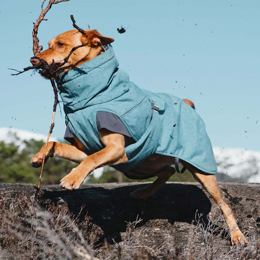 Hurtta Expedition Parka Bilberry 40cm