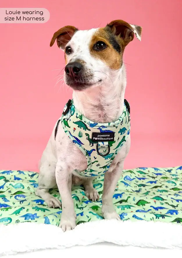 Pawsome Paws Boutique Dinky Dino Adjustable Harness (M)