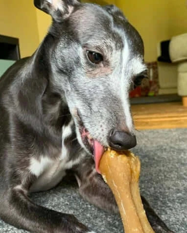 Whimzees Rice Bone Large