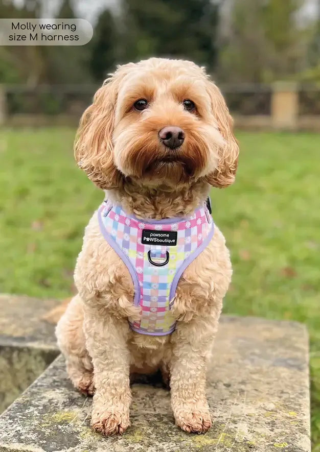 Pawsome Paws Boutique Pastel Plaid Adjustable Harness (M)