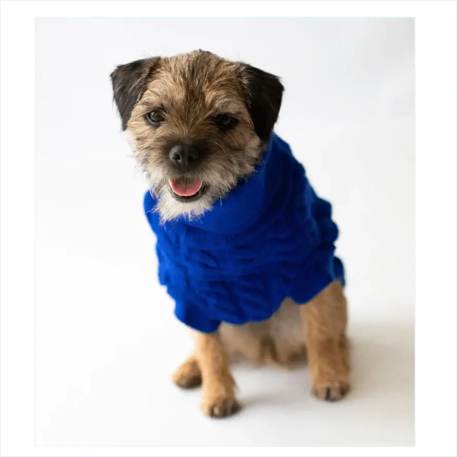 The Rascal Blue Cableknit Jumper MD1 42cm