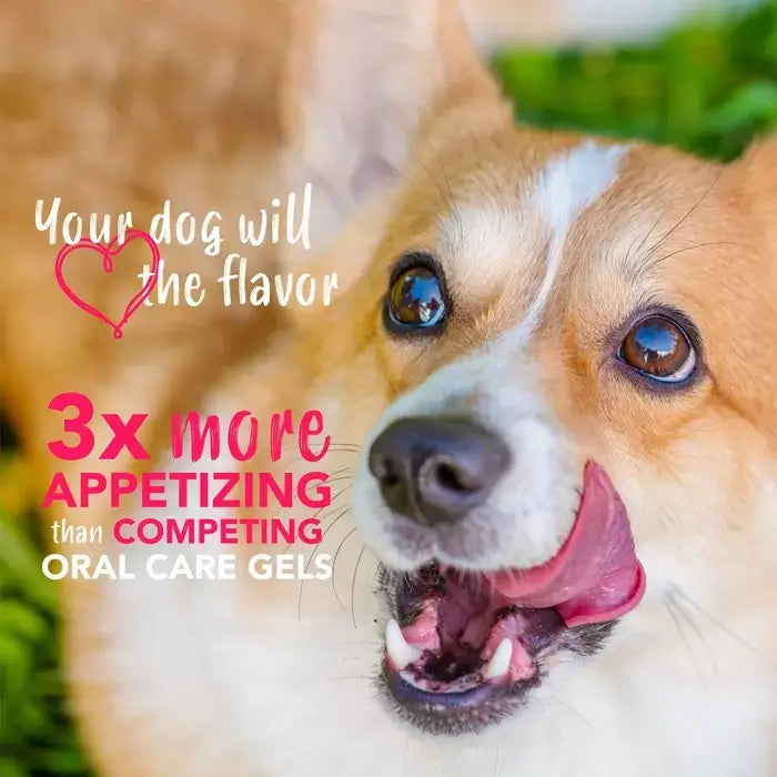 TropiClean Enticers Teeth Cleaning Gel for Dogs Smoked Bacon 59ml