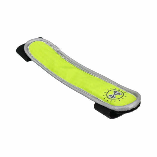 Animal Instincts Flashing Safety Collar Clip - Red