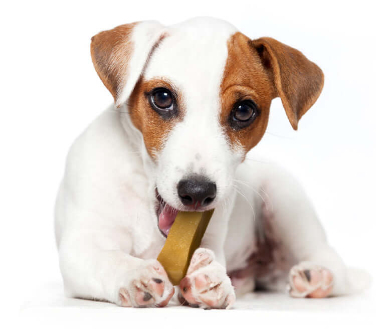 Yakers Original Dog Chew Medium