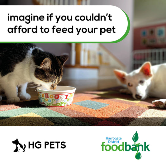 Collection for Pet food-Food Bank Harrogate