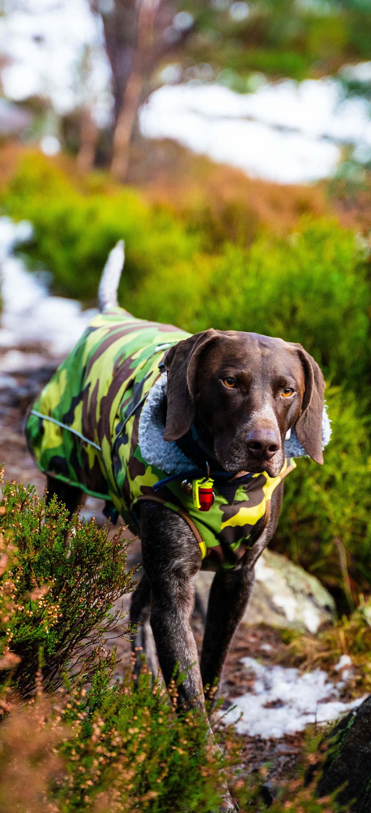 dryrobe Dog Robe Green Camo Grey S