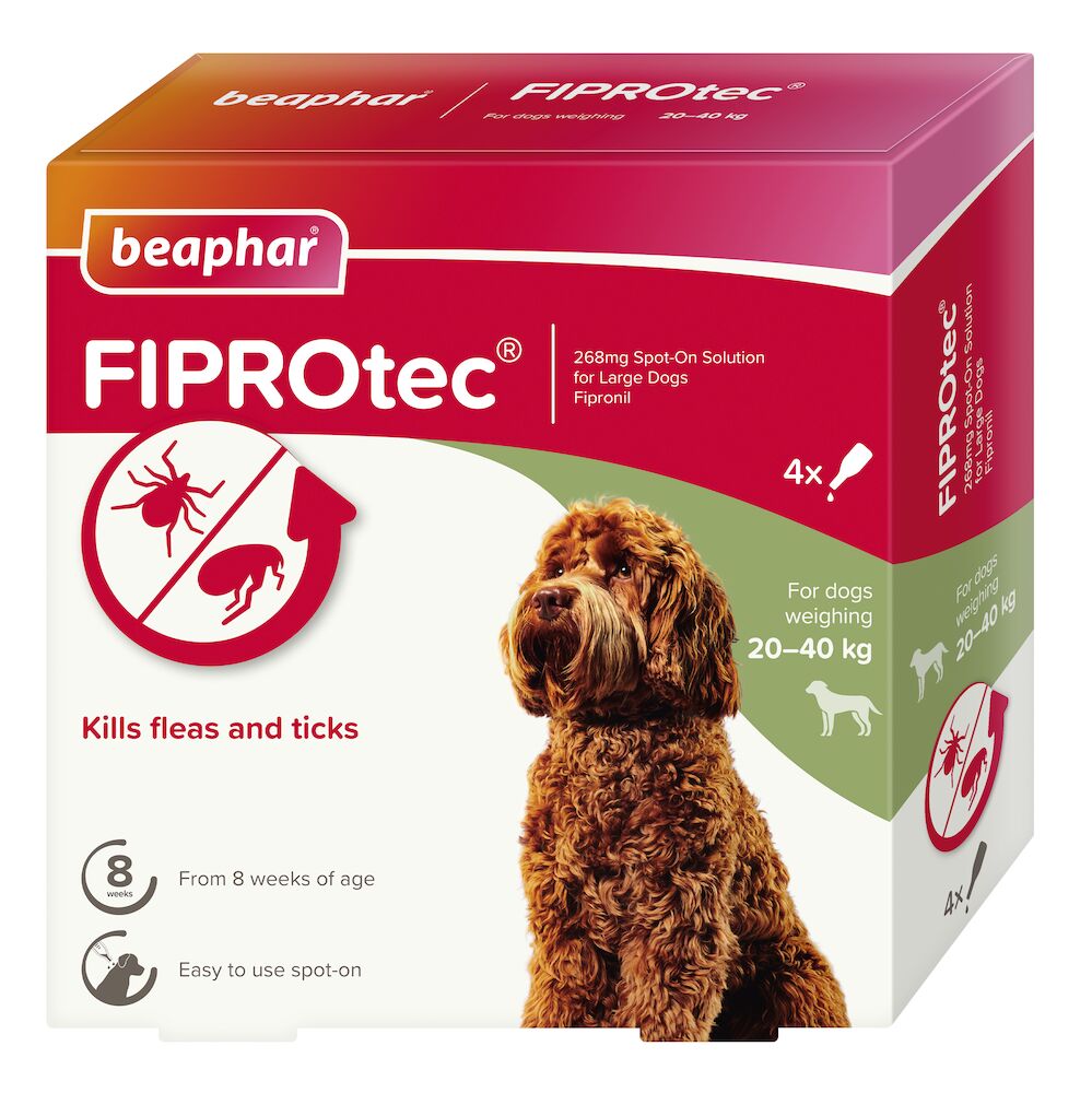 Beaphar Fiprotec Spot On Large Dog (6 Pipettes)