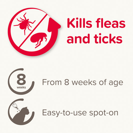 Beaphar Fiprotec Spot On Cat 50mg (6 Pipettes)