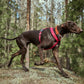 Hurtta eco Reflective Casual Collar Raven 20-30cm