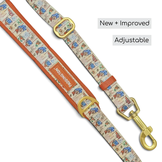 Pawsome Paws Boutiique Paddington Adjust Fit Peckish 3 - 5ft Lead