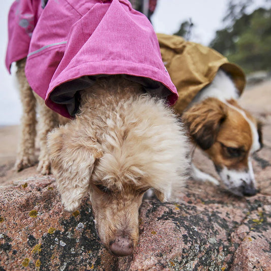 Hurtta Monsoon Coat II ECO Pink Size 45cm