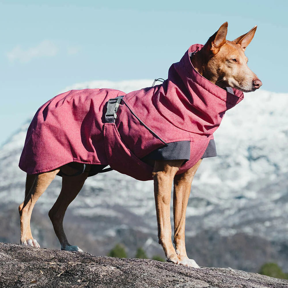 Hurtta Expedition Parka Beetroot 45cm XS