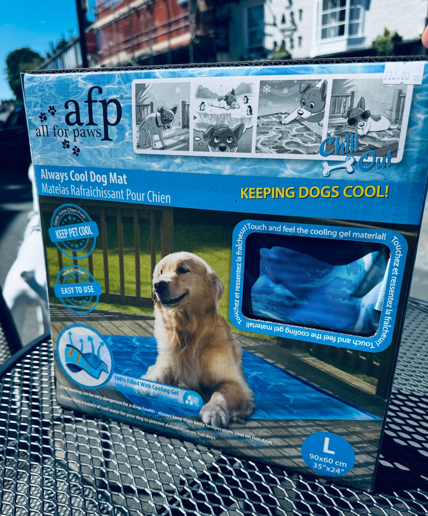 All For Paws Chill Out Always Cool Dog Mat Large