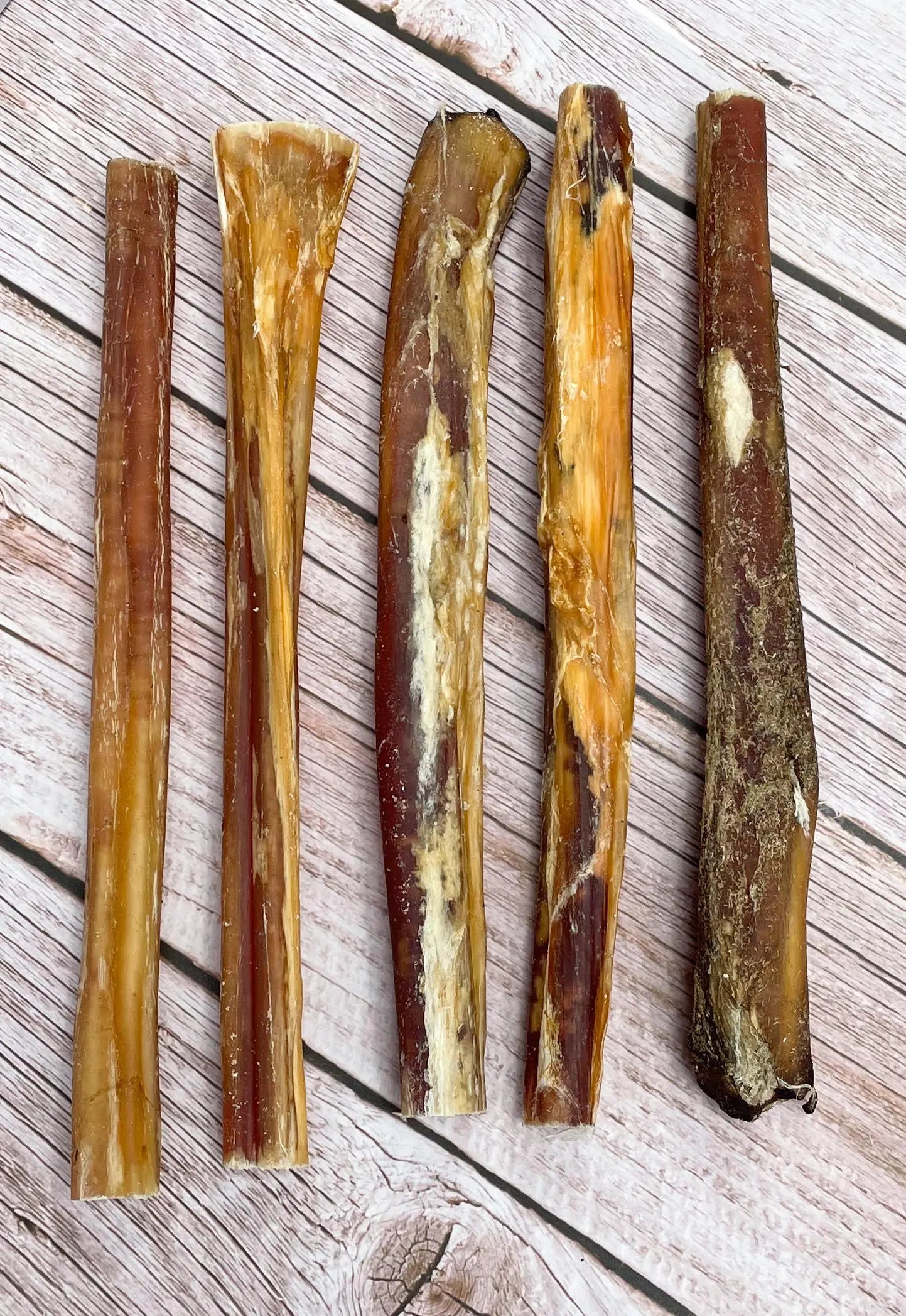 Redwood 24cm Pizzle