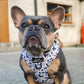 Pawsome Paws Boutique Harness Frenchie Frappuccino Medium