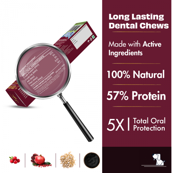 Pawfect Hymalayan Dog Chew with Cranberry Large