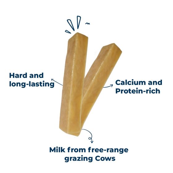 Pawfect Hymalayan Dog Chew with Mango Medium