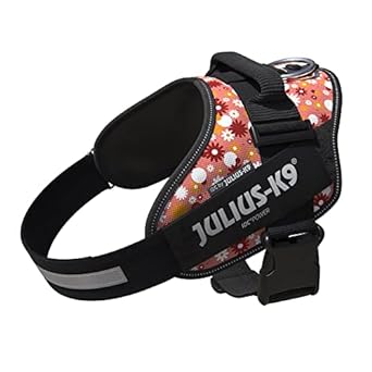 Julius k9 IDC?-Powerharness, Size: Mini-Mini, `pink with flowers`