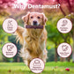Pawfect Hymalayan Dog Chew with Cranberry Large