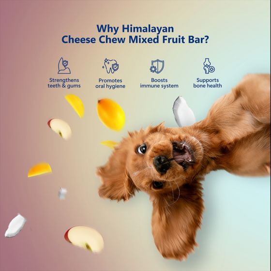 Pawfect Hymalayan Dog Chew with Mango Medium