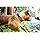 EZYDOG COLLAR NEO  -  L  -  RED