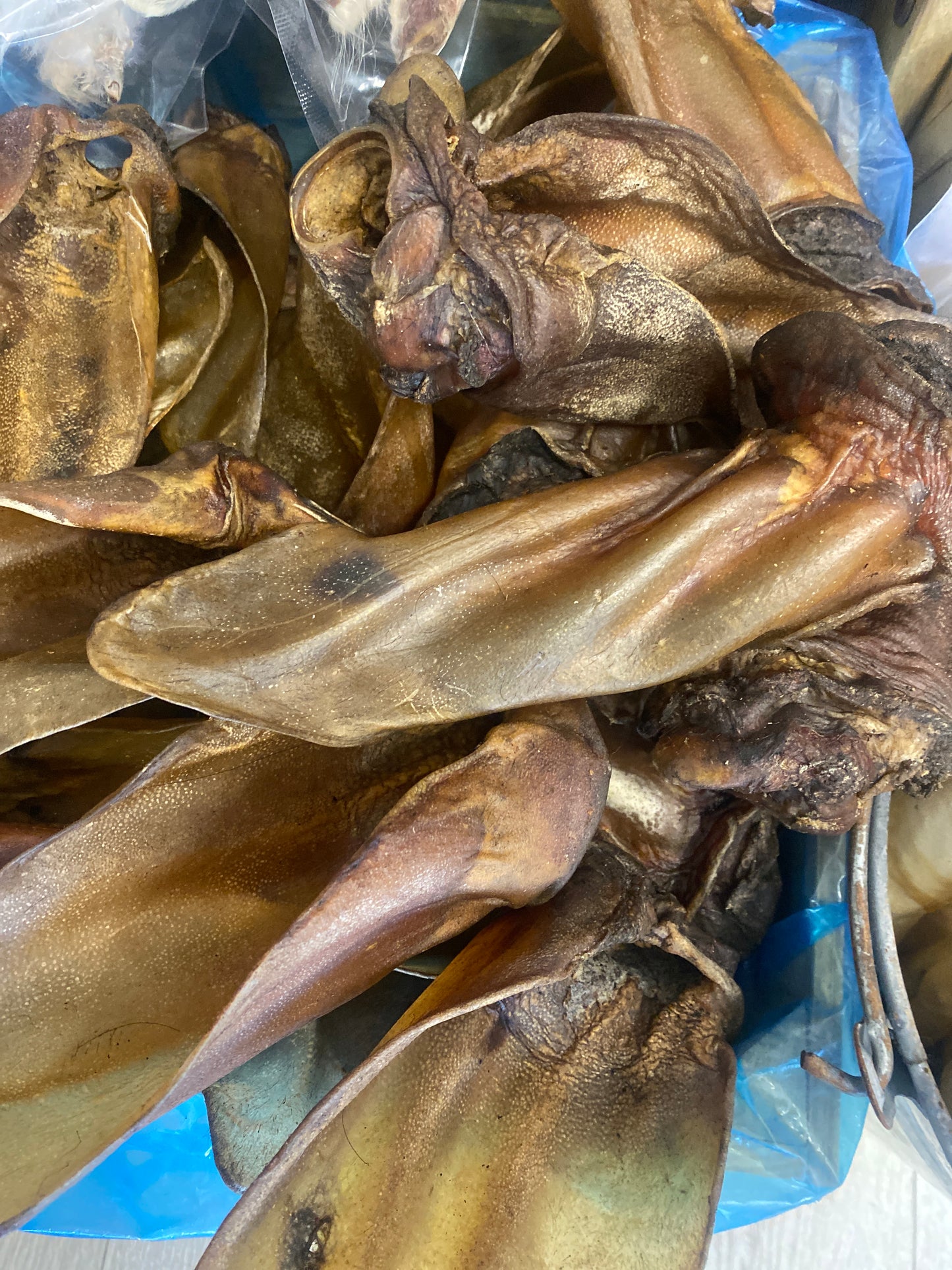 Buffalo Ears with Meat