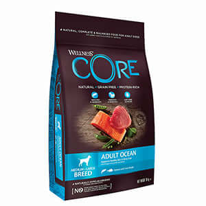 Wellness Core Ocean Salmon and Tuna 10kg