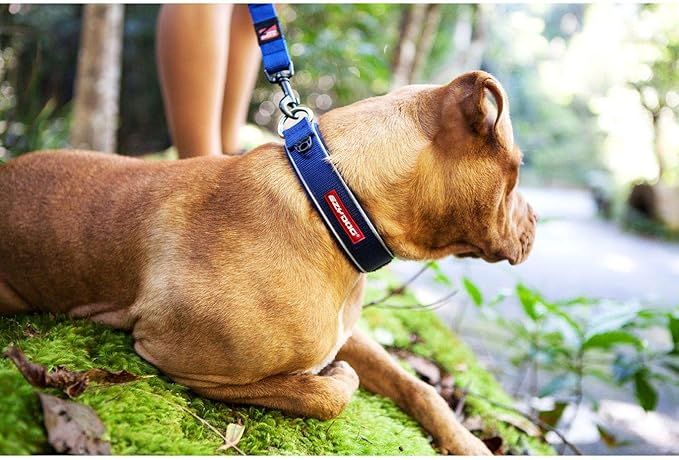 EZYDOG COLLAR NEO  -  S  -  BLACK (34-38cm)