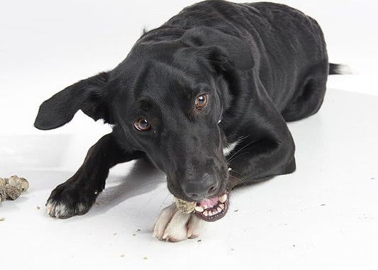 Fish 4 Dogs Dental Sea Jerky Fish Knots 500g