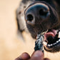 Fish 4 Dogs Dental Sea Jerky Fish Twists 500g