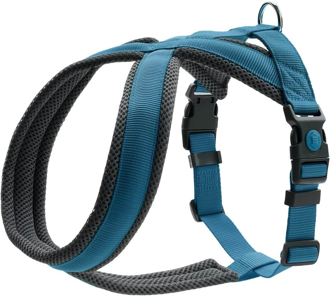 Hunter Harness London Comfort 48-56/S-M Polyester Light Blue