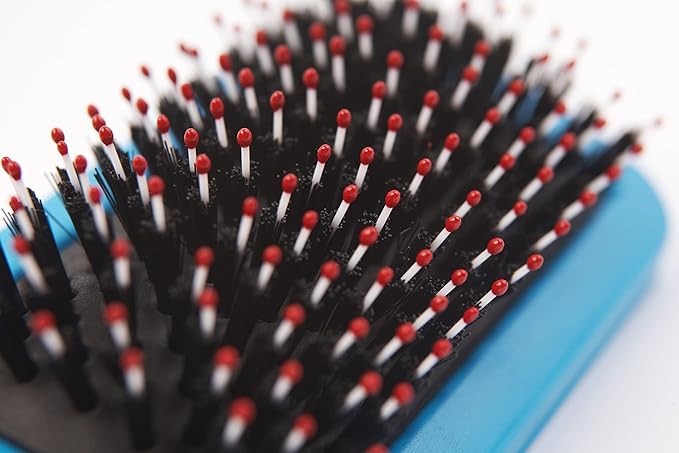 Ancol Ergo Hedgehog Slicker Small