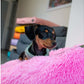 Ancol Super Dog Cat Donut Bed Pink 70cm