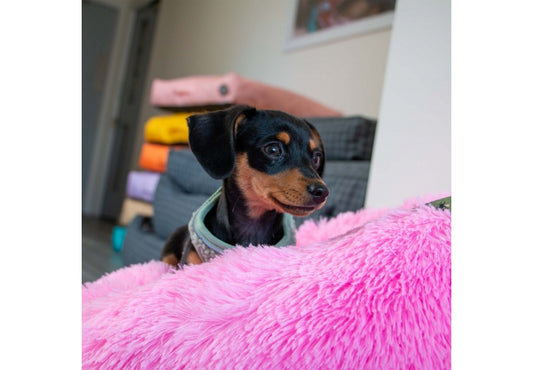 Ancol Super Dog Cat Donut Bed Pink 70cm