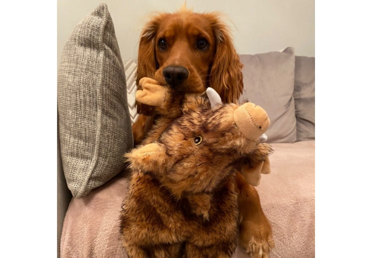 Ancol Heritage Huge Hog Dog Toy (NO SQUEAK)