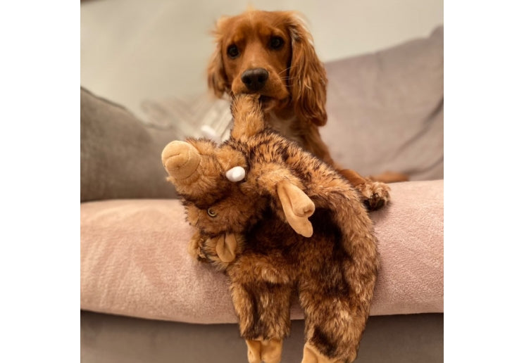 Ancol Heritage Huge Hog Dog Toy (NO SQUEAK)